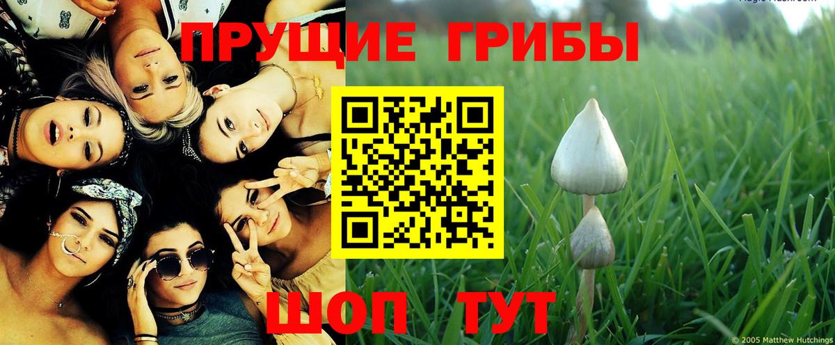 Кондопога  Псилоцибиновые грибы ЛСД  Вход с VPN  Галлюциногенные грибы GOLDEN TEACHER 