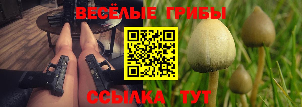 Галлюциногенные грибы прущие грибы Кондопога